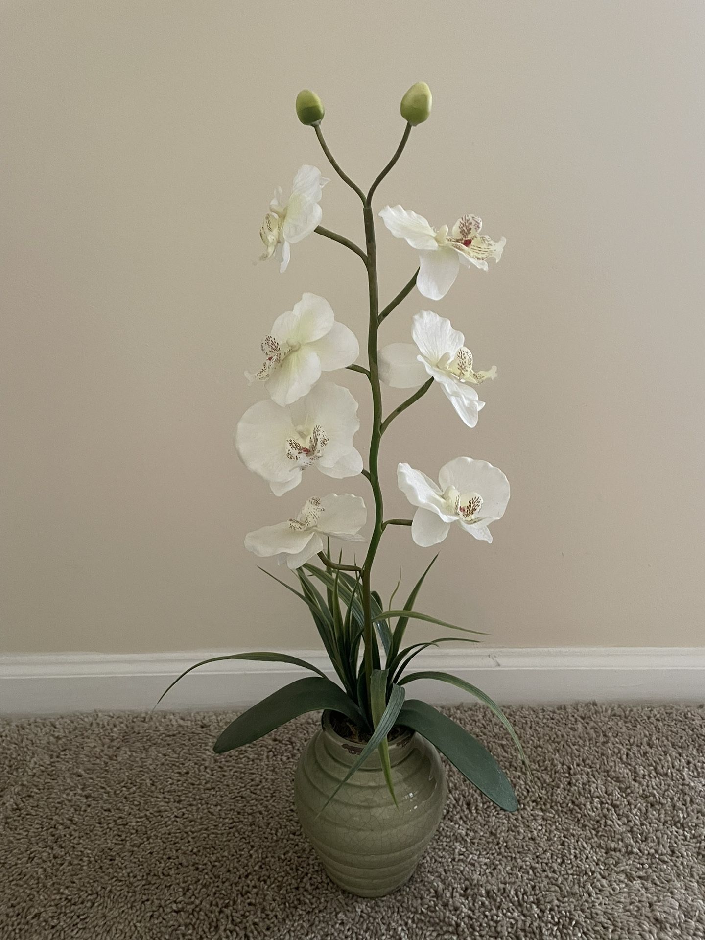 Orchid Plant Decoration