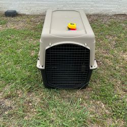 Dog Kennel 