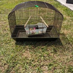 Bird cage 