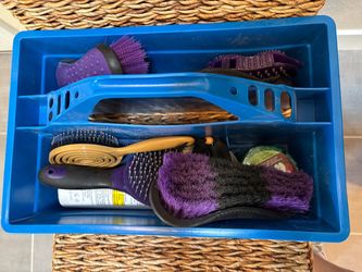 Horse Grooming Kit – Brushes, Mitts, Detangler & More – Nearly New