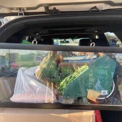 Reptile Habitat Kit