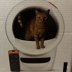 Self-cleaning Litter Box