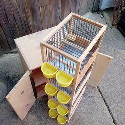 Great Condition 4-Unit Canary Training Box (Hand-Made)