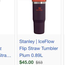 Stanley Flip Straw