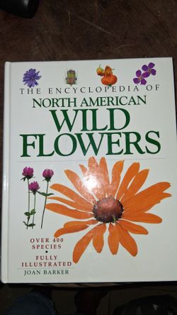 NEW COLORED PICS WILD FLOWERS 💐