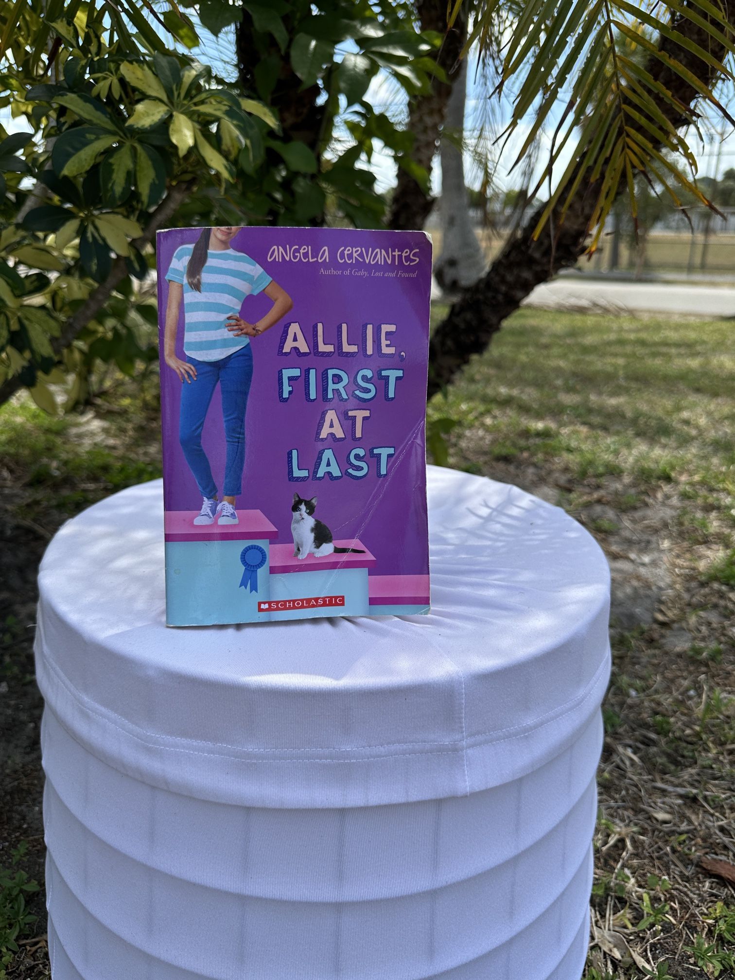 Scholastic 'Allie, First at Last' in Purple and Blue
