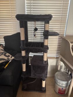 Cat Tree 60 Inch