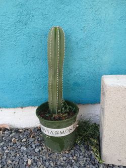 Mexican fence post