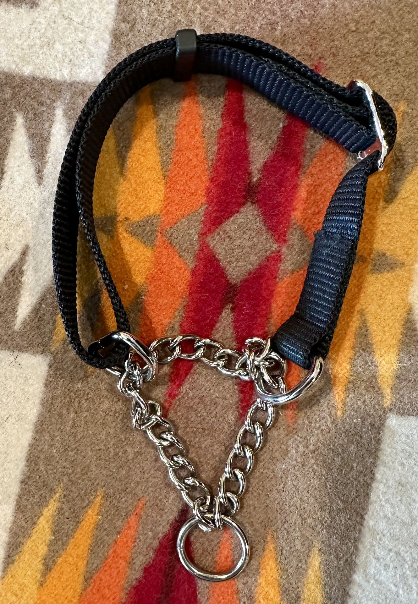 New Martingale Dog Collar
