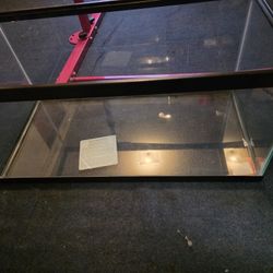 40 Gallon aquarium 
