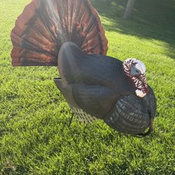 Turkey Decoy