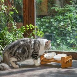 Hoopet Elevated Ceramic Cat Bowls - Brand New