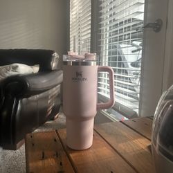Pink 40oz Stanley Cup Water Bottle