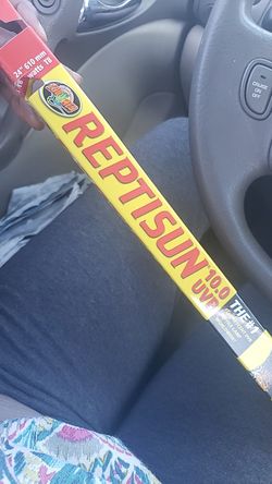 Reptisun bulb