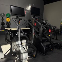 STEPR stair masters -STEPR (the original) $3000   