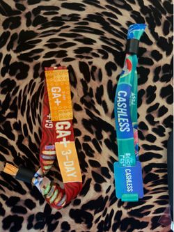 2 Baja Fest tickets GA+ & 1 GA