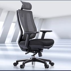 Mesh Office Chair with Footrest | OdinLake Ergo Pro 633
