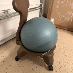 Balance Ball Chair