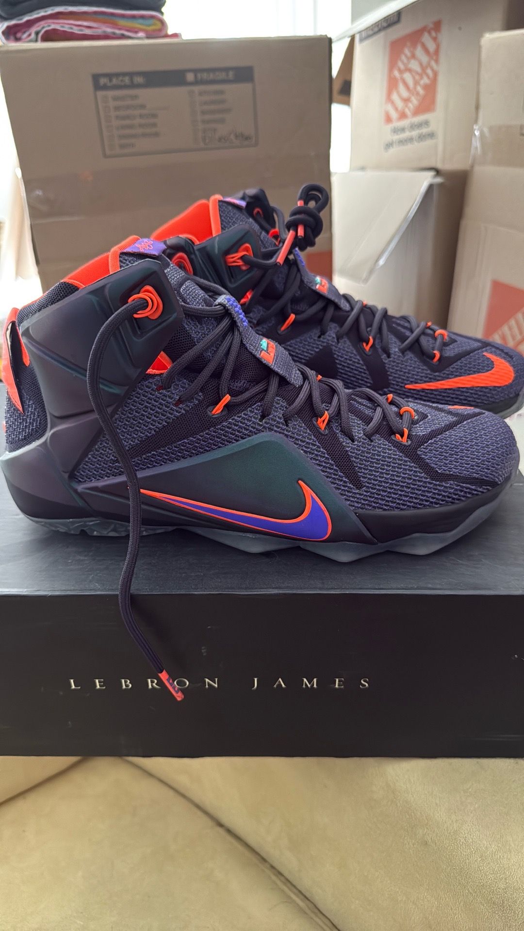 LeBron XII