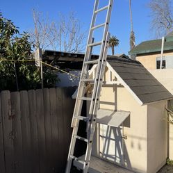 Excellent Condition Variety Of Ladders 