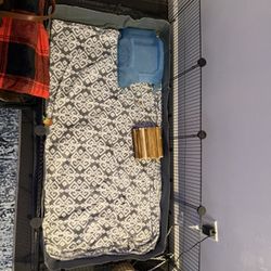 Guinea Pig Cage