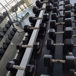 Dumbbell Set With Rack 