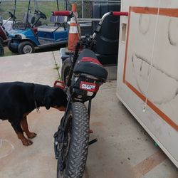 Just Suspension Cause My Suspension Is Not The Best (OFFERS)