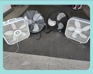 Fans