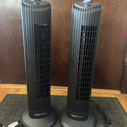 $40 For 2 Oscillating Fans