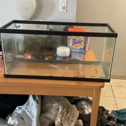 20 Gallon Long