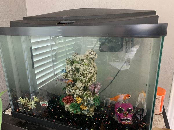 best filter for 20 gallon goldfish tank best filter for 20 gallon goldfish tank