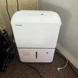 White Dehumidifier 