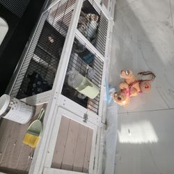 Rabbits Cage And Everything You See 