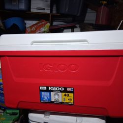 Igloo Cooler 