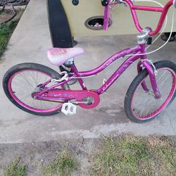Girl Schwinn Bike