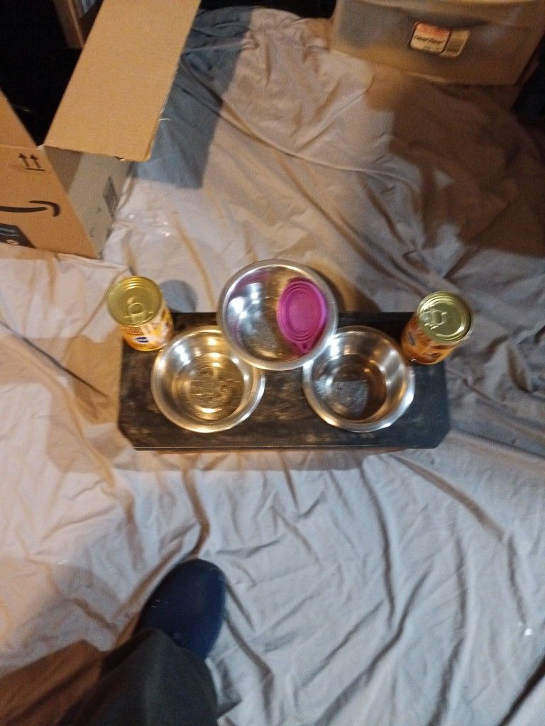 Dog Bowl