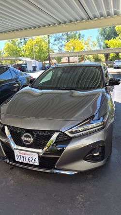 2023 Nissan Maxima