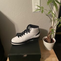 Size 10.5 - Air Jordan 2 Retro Wing It DS!!!