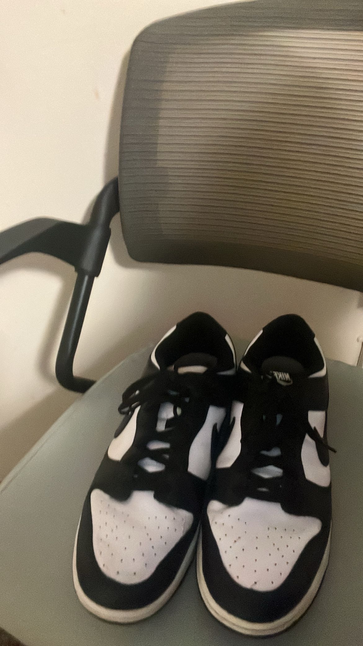 Nike Panda Dunks Size 14