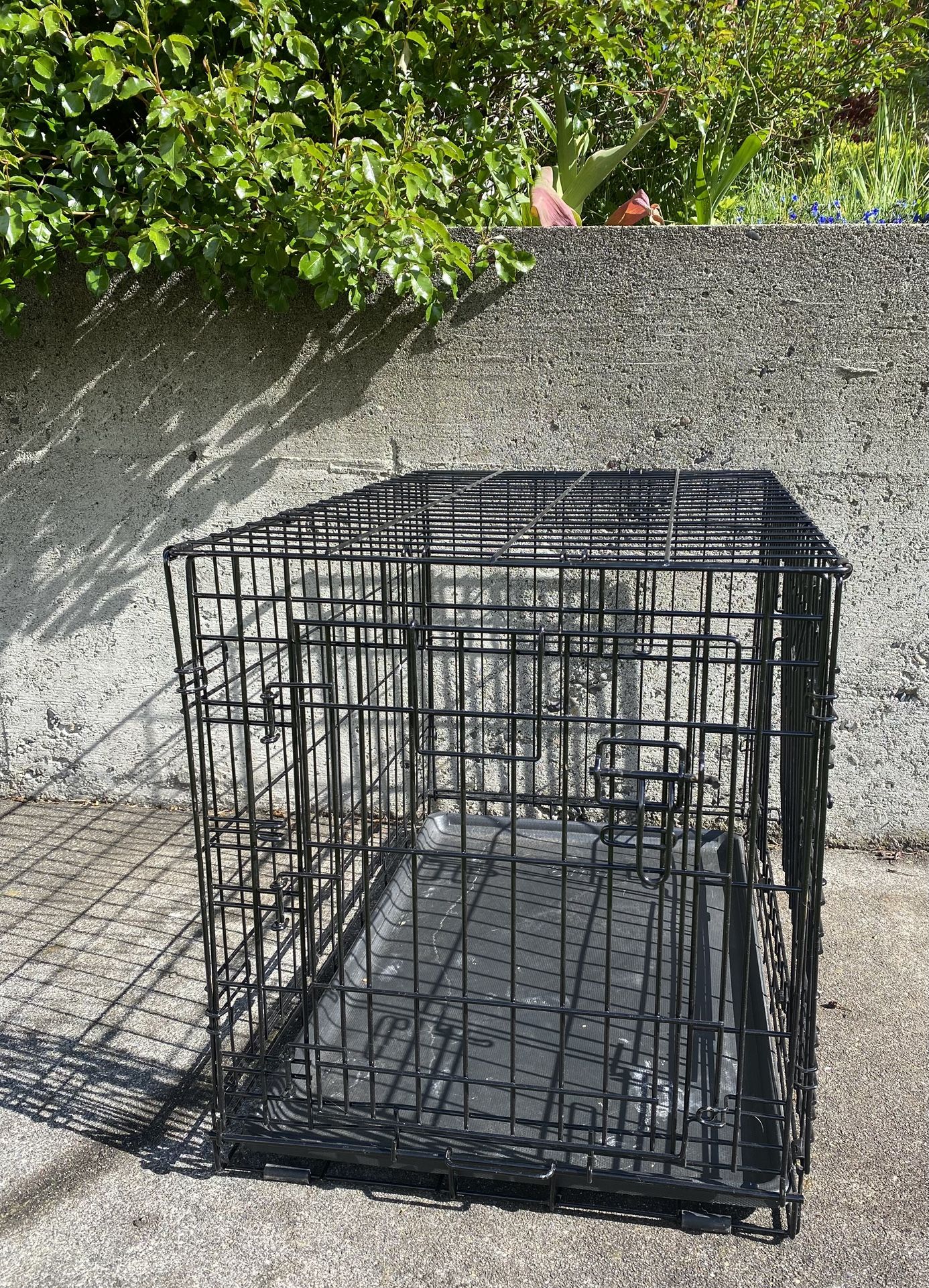 Dog Crate