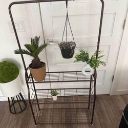 Plant Shelf