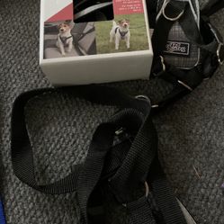 Dog Seat Belt & Leashes