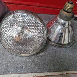 65W incandescent flood lights