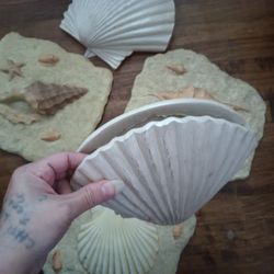  Decoration Seashell Pictures And HandTowel Holders