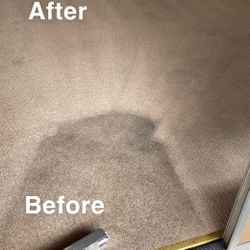 Carpet Cleaner 