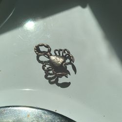 Scorpion pin