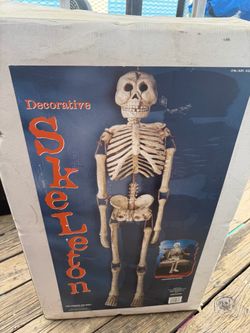 Decorative Halloween Skeleton Prop