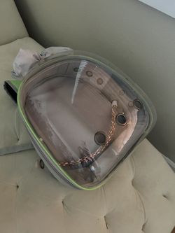 Bubble Back Pack