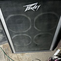 Peavy Speaker 