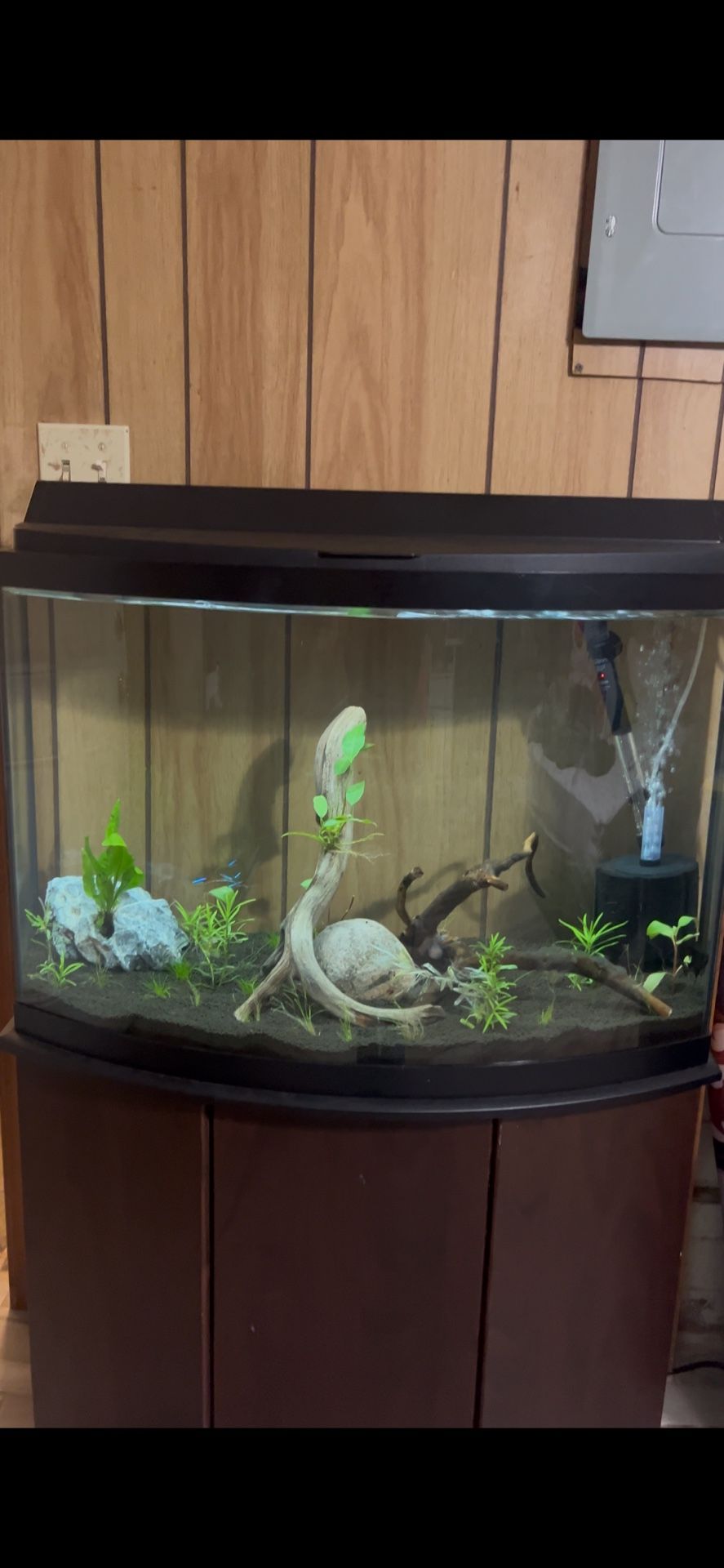 Aquarium Fish Tank